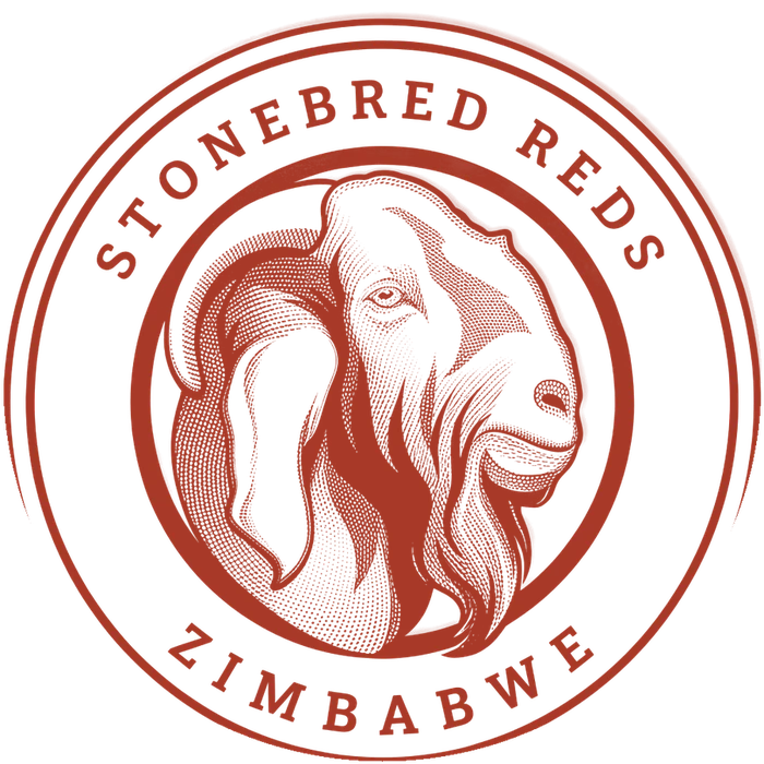 Stonebred Reds seal in terracotta